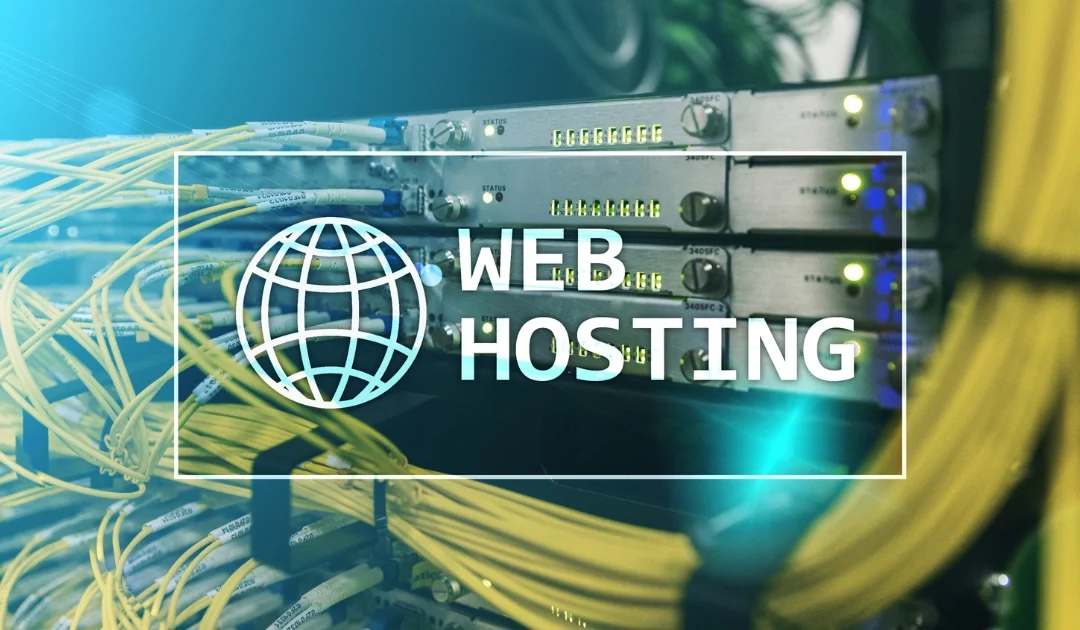 Why Our Hosting Business Is Different from Other Providers in Tanzania